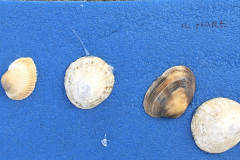 Presentazione-scuola-dellinfanzia11