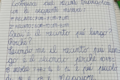 Foto-10