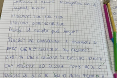 Foto-11