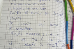 Foto-6