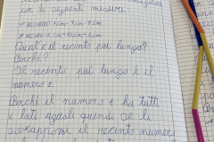 Foto-8