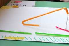 Viola2