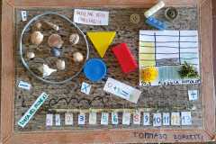 creazione-Tommaso