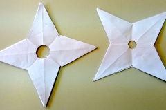 Le-stelle-NinjaADY